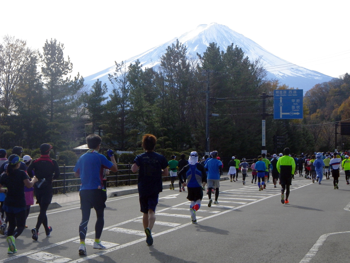 富士山が見えるコース