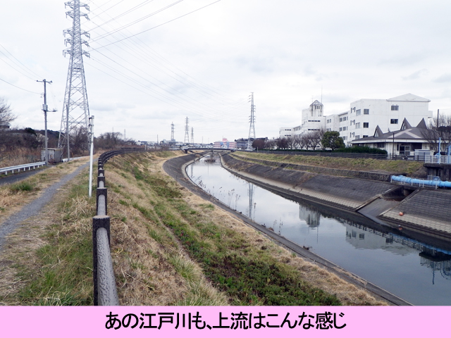 江戸川上流