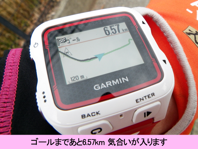 ゴールまでの距離