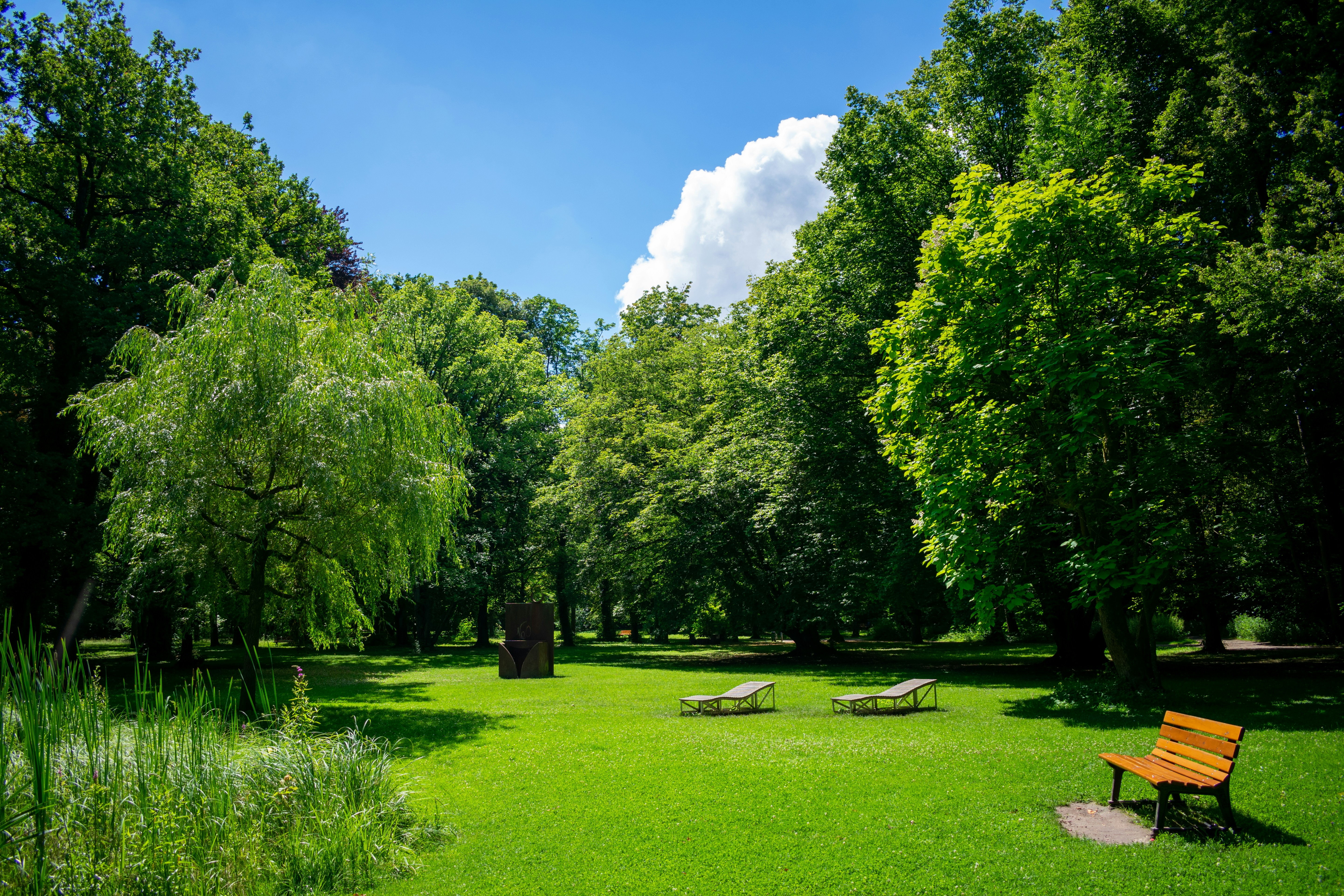 緑豊かな公園